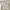 SHEIN Oversize Cream Brooklyn photo 6