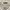 SHEIN Oversize Cream Brooklyn photo 2