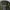 Vintage Streetwear Parka Pria green photo 8