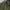 Vintage Streetwear Parka Pria green photo 3