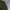 Vintage Streetwear Parka Pria green photo 6