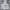 Burton MP3 Snowboard Jacket photo 1