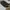 Slip on Givenchy rottweiler photo 1