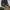 Slip on Givenchy rottweiler photo 2