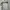 Vintage slingbag Oakley tactical photo 1