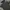 Polo Ralph Lauren Casual Polo Shirt Charcoal photo 2