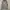 stone island camo grid photo 1