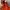 Hermes Luxury Crossbody Bag Wanita orange photo 4