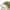 Basic Japanese tailored trousers cream beige regular fit  photo 4