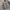 Standart Garment Hickory Chore Jacket photo 3