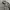 Standart Garment Hickory Chore Jacket photo 2