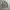 Standart Garment Hickory Chore Jacket photo 1