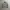 Standart Garment Hickory Chore Jacket