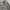 Standart Garment Hickory Chore Jacket photo 4