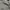 Standart Garment Hickory Chore Jacket photo 6