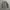 Standart Garment Hickory Chore Jacket photo 8