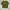 Number Nine Vintage Streetwear T-shirt Pria brown photo 1