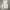 Japanese brand Y2K T-shirt Pria white photo 1