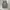 Japanese brand Y2K T-shirt Pria gray photo 1