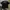 RARE TAPOUT SHATTERED GLASS photo 4