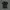 99koutlet - Ribbed Crop Top v neck collar short sleeve polo  photo 3