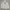 Thisisneverthat Pullover Hoodie photo 2