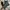 BOOTS LACOCTE photo 2