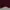 Jacket Maroon not GU Uniqlo photo 3