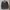 Jaket Windbreaker University of Cambridge Original  photo 1
