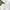 White Polo Ralph Lauren Corduroy Shirt photo 4