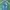 JEANS VINTAGE FEDING photo 2