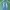 JEANS VINTAGE FEDING photo 1