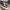 Converse Chuck Taylor Allstar photo 2