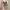 Converse Chuck Taylor Allstar photo 3
