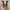 Converse Chuck Taylor Allstar photo 4