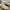 Converse CT 70s Low photo 2