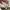 Converse CT 70s Low photo 7