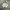 Jacket Cloud Sherpa photo 1