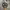 Jacket Camo photo 1