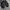 Sepatu Puma Suede Black White photo 5