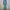 Basic Blue Wash Jeans