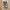 Asics Gel Kahana 8 photo 3