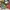 Album NCT Dream Glitch Mode