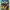 Album NCT Dream Glitch Mode photo 1