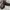 Bally Vintage Casual Loafer Pria brown photo 1