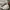 Military Cargo camo long pants  solid material photo 3