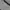 The North Face Sportswear Windbreaker Pria white photo 3
