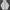 The North Face Sportswear Windbreaker Pria white photo 1
