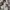 Long pants cargo military photo 3