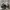 A Bathing Ape Casual Sneakers Pria black gray photo 7